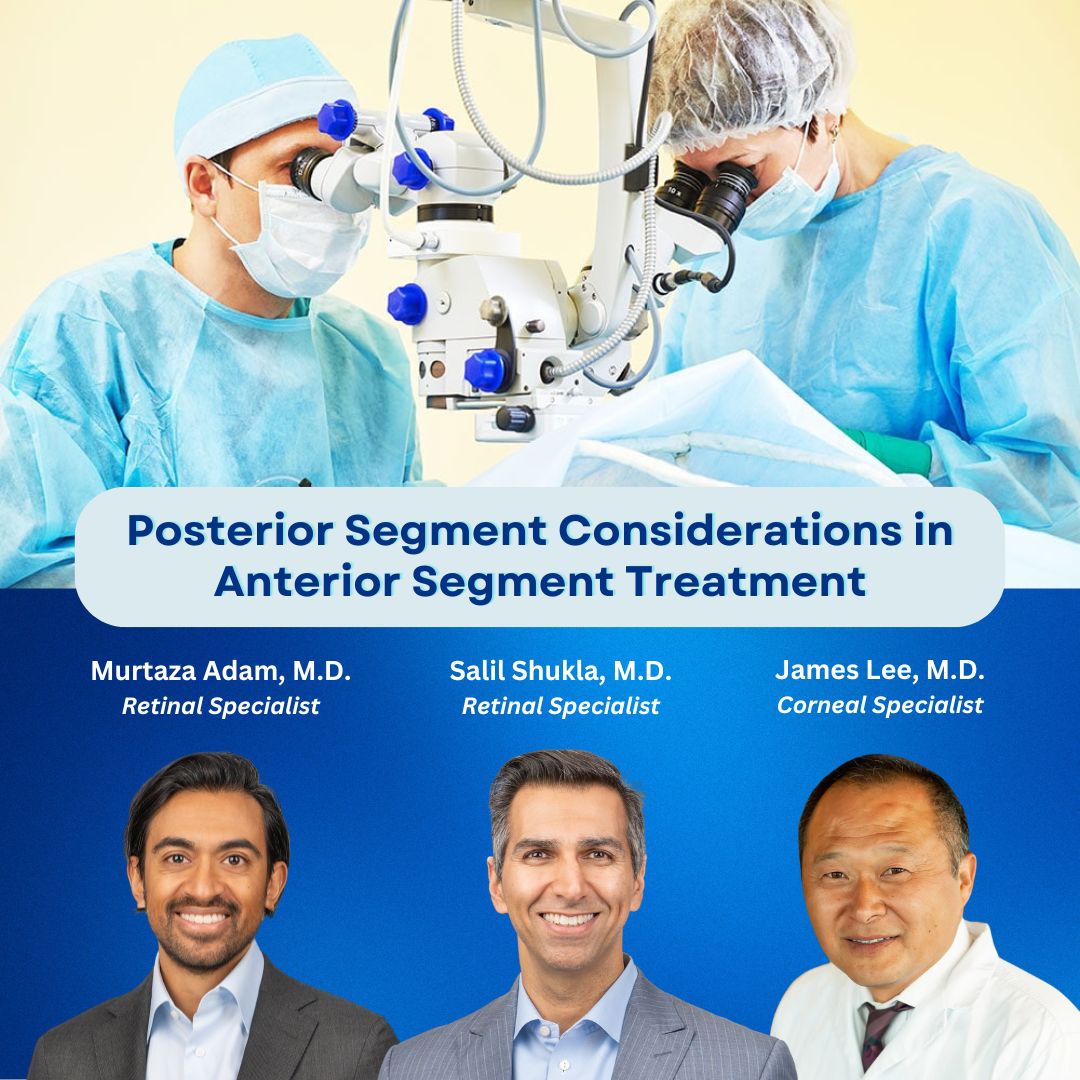 Posterior Segment Considerations In Anterior Segment Treatment ...